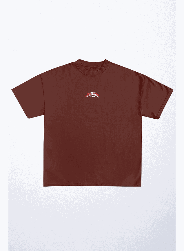 camiseta oversized blkt tour